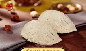 Những thông tin liên quan đến yến sào và giá yến sào cao cấp.
