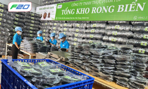 xuong rong bien nha trang