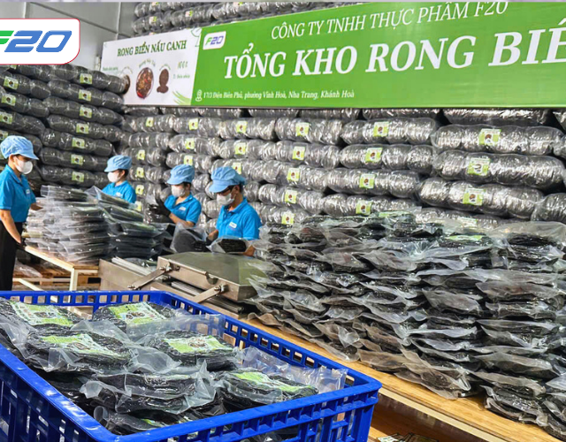 xuong rong bien nha trang